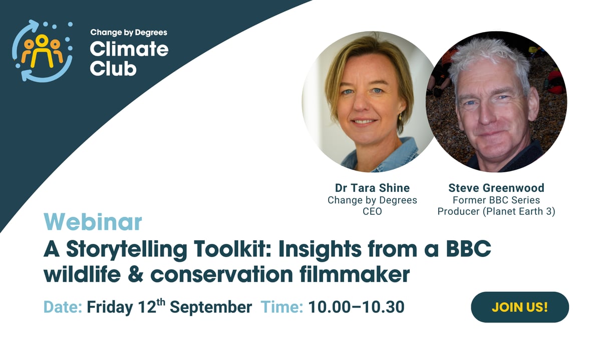 Webinar poster: The Storytelling Toolkit with Steve Greenwood